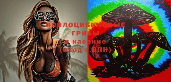гашиш Абаза