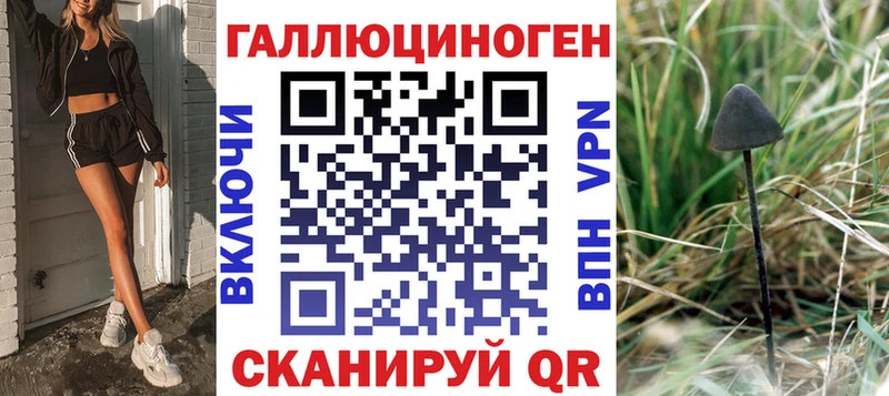 дарк нет клад Нижнекамск Псилоцибиновые грибы Psilocybine cubensis